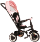 Preview: Kinderdreirad - Trike - 3in1 - Schiebebügel - Verdeck -  bis 20 kg - Farbe: rosa