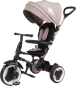 Preview: Kinderdreirad - Trike - 3in1 - Schiebebügel - Verdeck -  bis 20 kg - Farbe: grau